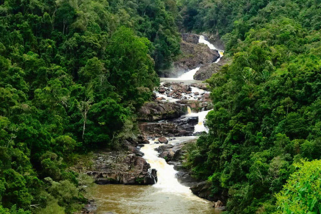 Madagaskar ranomafana