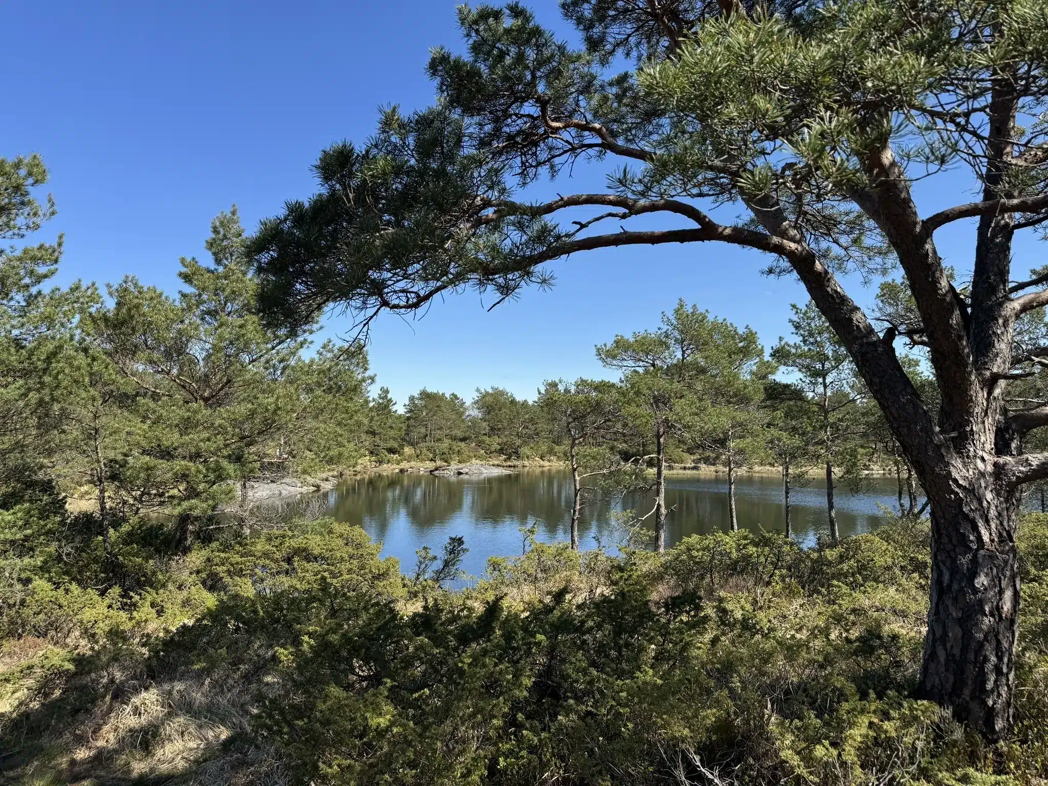 Breisteinsåta (334 moh)