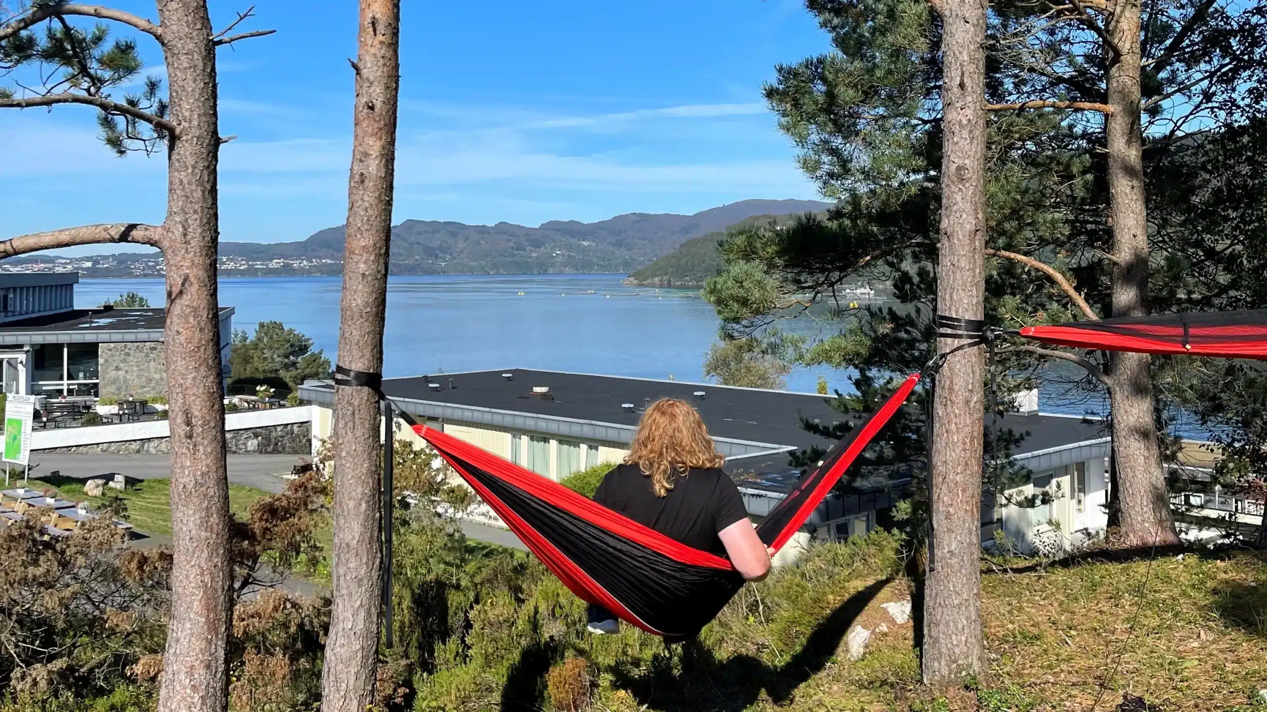 Hengekøye
