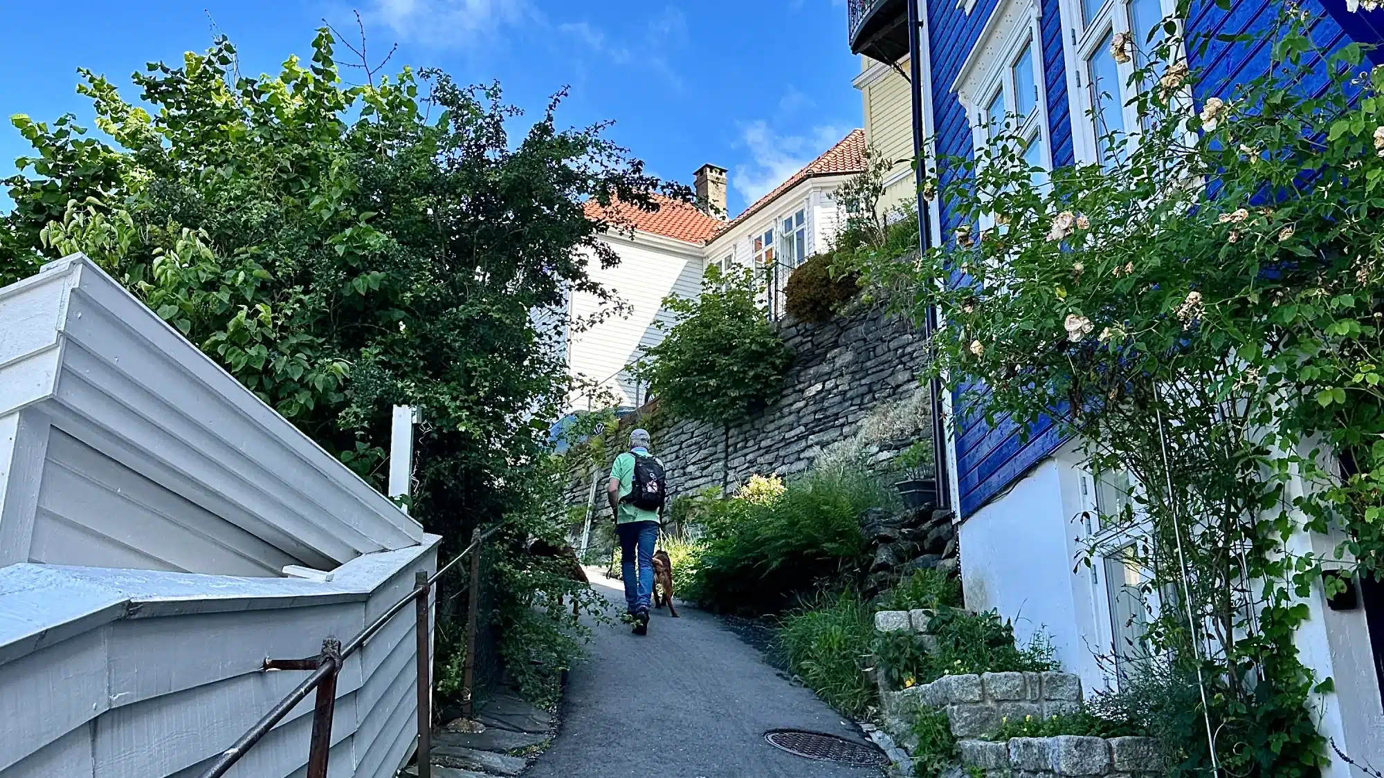 Skansen